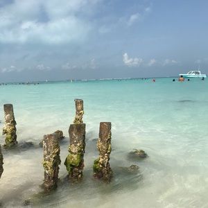 Meet your Posher, Mindy